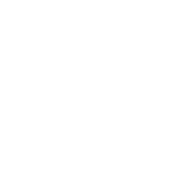 QUADIUS CONSULTING